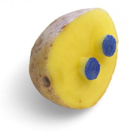 Kartoffel